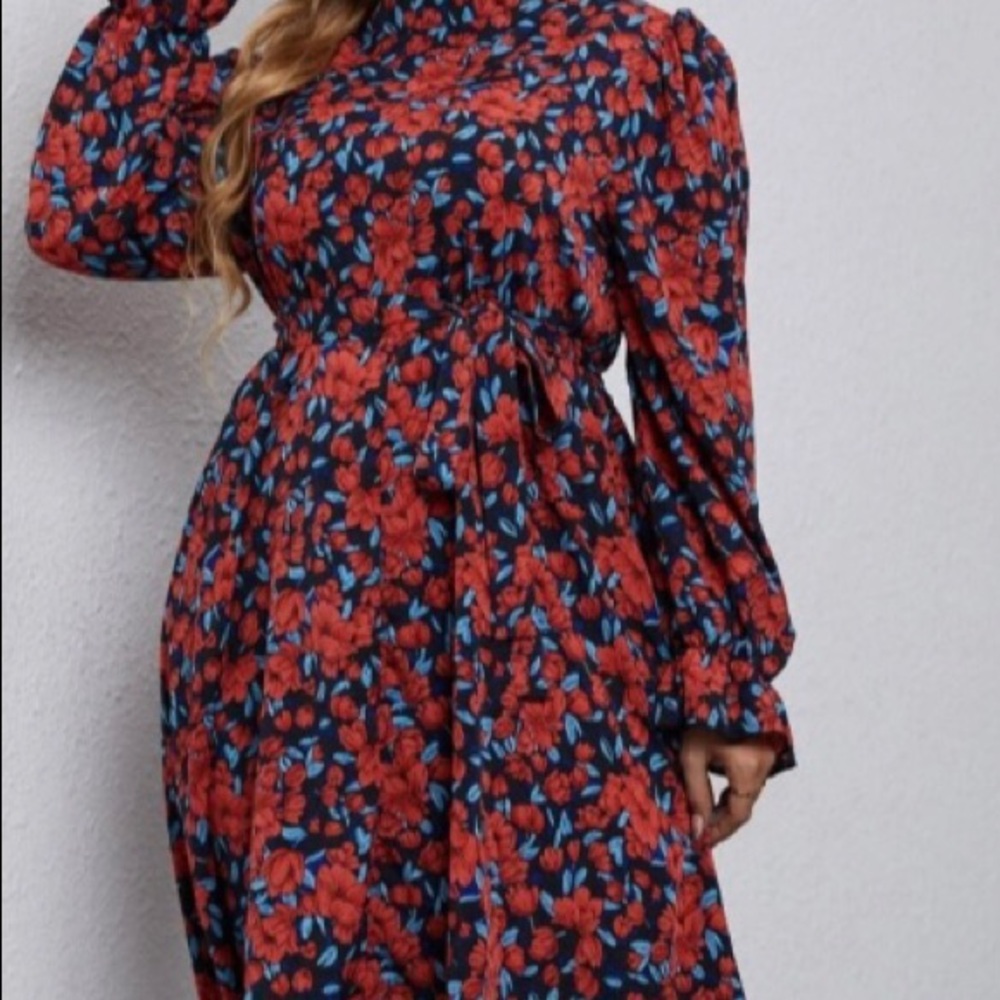 Plus size 20. Floral print, mock neck, flounce sleeve belted dress. Red Rose.